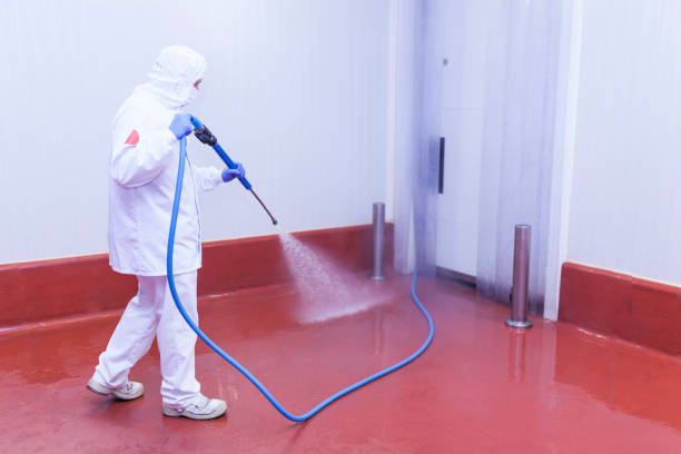 Best Roof Washing  in Kinsley, KS