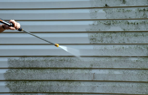 Best Sidewalk and Walkway Cleaning  in Kinsley, KS